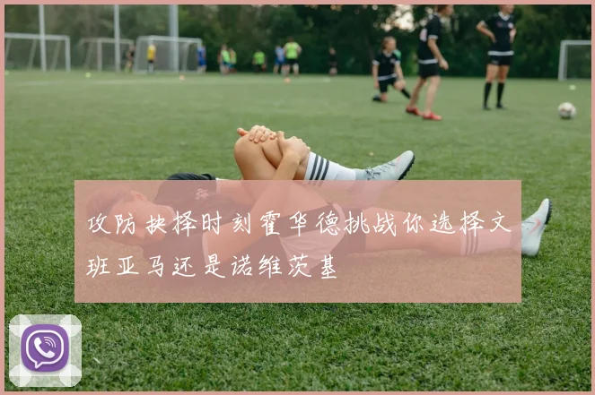 攻防抉择时刻霍华德挑战你选择文班亚马还是诺维茨基