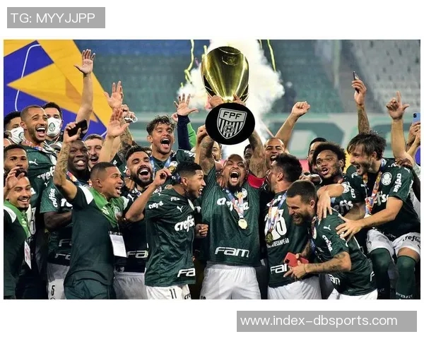 巴西足球盛事帕尔梅拉斯与弗拉门戈争夺南美解放者杯冠军 巴西足球盛事帕尔梅拉斯与弗拉门戈争夺南美解放者杯冠军